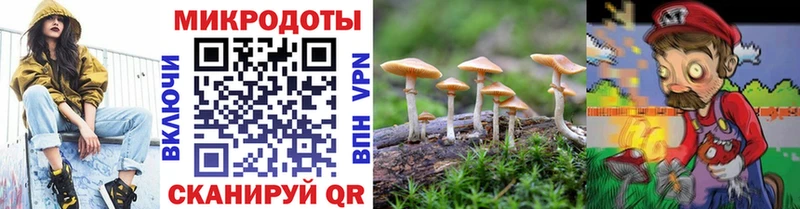 Галлюциногенные грибы прущие грибы  Купить где  Суджа 